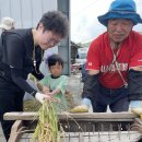 🌾 열매반의 탈곡 &벼베기🌾 이미지