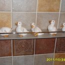 가을찻집 이미지