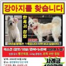 똘이언니 머니투데이