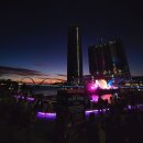 바오밥나무 스탠딩커피 | 워홀] 5박6일 퍼스여행(2) 콜드플레이 콘서트 스탠딩후기/folklore/퍼스시내투어/킹스파크/젯스타 결항...