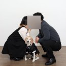 늘, 바라봄 | 옥정사진관 비프레임스튜디오에서 기념일 맞이 애견동반 개족사진