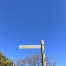 김징선생 신도비 | (송파구) 충헌공 김구 묘역