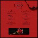 Behind motion(비하인드모션)
