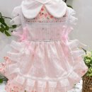 단아한펫 이미지