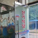 완도스타일 이미지