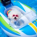 헤이풀빌라2 이미지