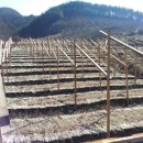 벼리농장 이미지