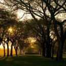 죽곡택지 이미지