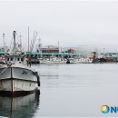 정라5통 이미지