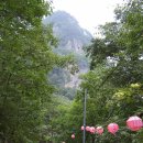 청량사 입구 이미지