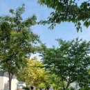 임항선그린웨이(북마산역) 이미지