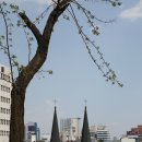 대구 계산동성당(大邱 桂山洞聖堂) | 대구 계산동성당(大邱 桂山洞聖堂) - 사적 제290호