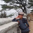 부광사 이미지