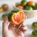토마토 - 의정부시 태평로73번길 20 | 토마토