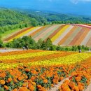 레인보우로드 이미지