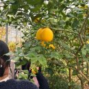 청마농장2 이미지