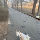 살랑살랑 멍치원 이미지