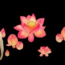 김대홍 네이버블로그