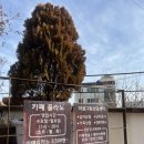 영도 카페플라노 찐애정하는 비건 오션뷰 카페