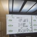 튜울립 | [후기] 오목교 플로렌스 튜울립홀 돌잔치 찐 후기