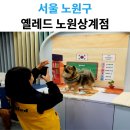 101애견유치원 | 상계동 애견유치원 추천｜옐레드 노원상계점 이용후기