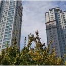 광교갤럭시공인중개사사무소 이미지