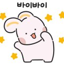몽쉘댕댕 이미지