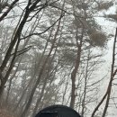 SK에너지(주) 도시공간주유소 | [강원/횡성] 스므나리 캠핑장 A2 사이트 후기 | 신규 캠핑장 개별화장실 개별편의시설 애견동반 캠핑 후기