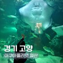 세레나데샵 | 일산 아쿠아플라넷 생일할인 주차 아이와 데이트