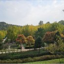 원적산공원 이미지