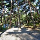 섬지캠핑장 이미지