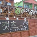 캣츠펜션 이미지