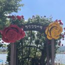 장미원입구 화장실 이미지