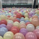 석사경희대한국태권도장 이미지