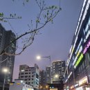 비산1동 행정복지센터 앞 이미지