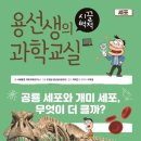 용선생 이미지