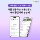 부동산