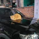 방촌양꼬치