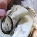 온천장로 이미지