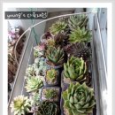 안방농장 이미지