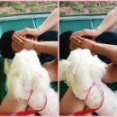 놀고 먹고 자개 이미지