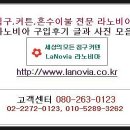 라노비아앤 이미지