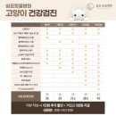 울산 쉼표동물병원 이미지