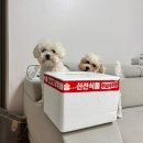 대진축산유통 이미지