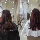 봄;보다 헤어살롱