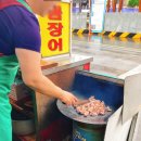 부산 산꼼장어 이미지