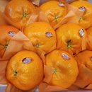 충주청과 이미지