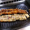 곰씨네장어나라 이미지