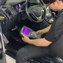 애니카랜드 도당점 이미지