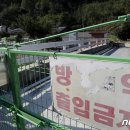 파주양돈단지(2) 뉴스1